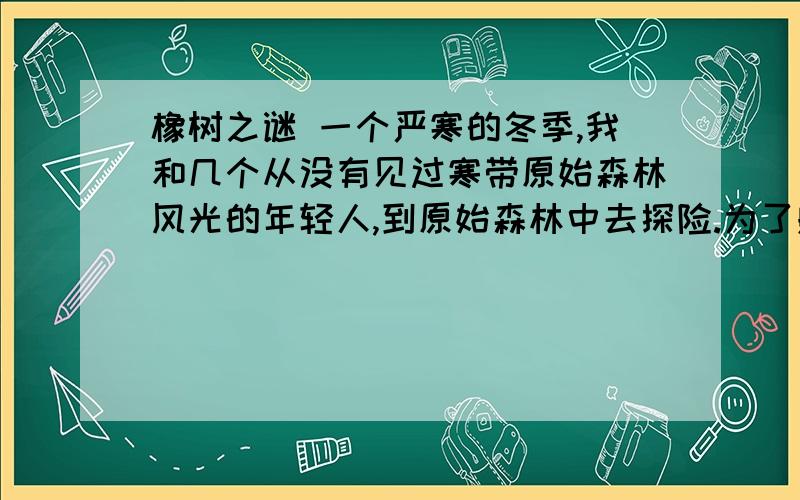 橡树之谜 一个严寒的冬季,我和几个从没有见过寒带原始森林风光的年轻人,到原始森林中去探险.为了躲避一头因受惊扰而暴怒的黑