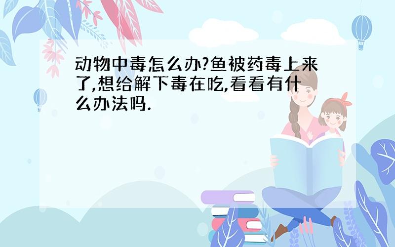 动物中毒怎么办?鱼被药毒上来了,想给解下毒在吃,看看有什么办法吗.