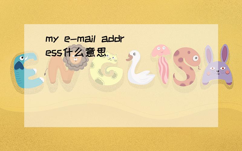 my e-mail address什么意思