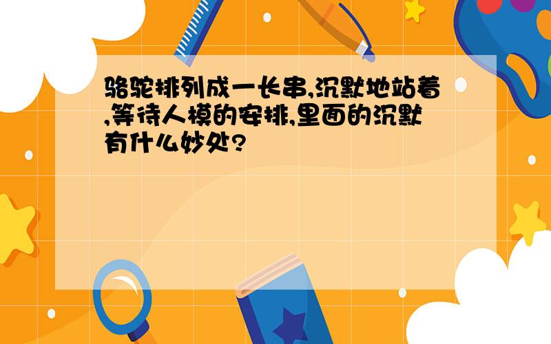 骆驼排列成一长串,沉默地站着,等待人模的安排,里面的沉默有什么妙处?