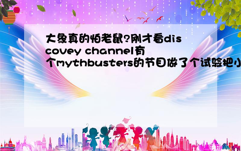 大象真的怕老鼠?刚才看discovey channel有个mythbusters的节目做了个试验把小白鼠放在大象前面 结