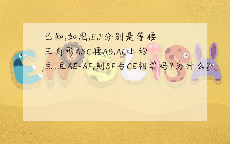 已知,如图,E,F分别是等腰三角形ABC腰AB,AC上的点,且AE=AF,则BF与CE相等吗?为什么?