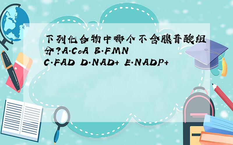 下列化合物中哪个不含腺苷酸组分?A.CoA B.FMN C.FAD D.NAD+ E.NADP+