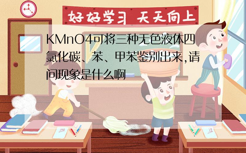 KMnO4可将三种无色液体四氯化碳、苯、甲苯鉴别出来,请问现象是什么啊