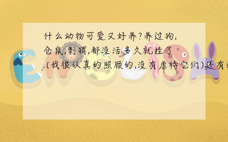 什么动物可爱又好养?养过狗,仓鼠,刺猬,都没活多久就挂了.(我很认真的照顾的,没有虐待它们)还有蛇,没养几天关箱子里也跑