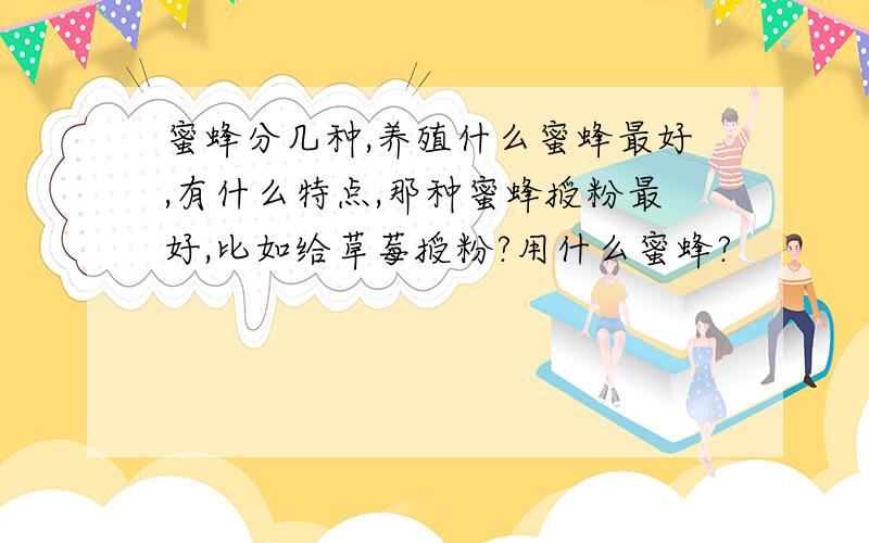 蜜蜂分几种,养殖什么蜜蜂最好,有什么特点,那种蜜蜂授粉最好,比如给草莓授粉?用什么蜜蜂?