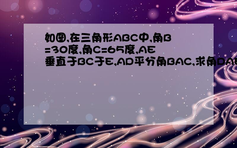 如图,在三角形ABC中,角B=30度,角C=65度,AE垂直于BC于E,AD平分角BAC,求角DAE的度数