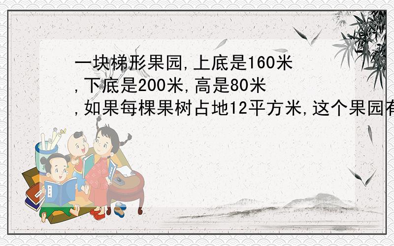 一块梯形果园,上底是160米,下底是200米,高是80米,如果每棵果树占地12平方米,这个果园有多少果树多少