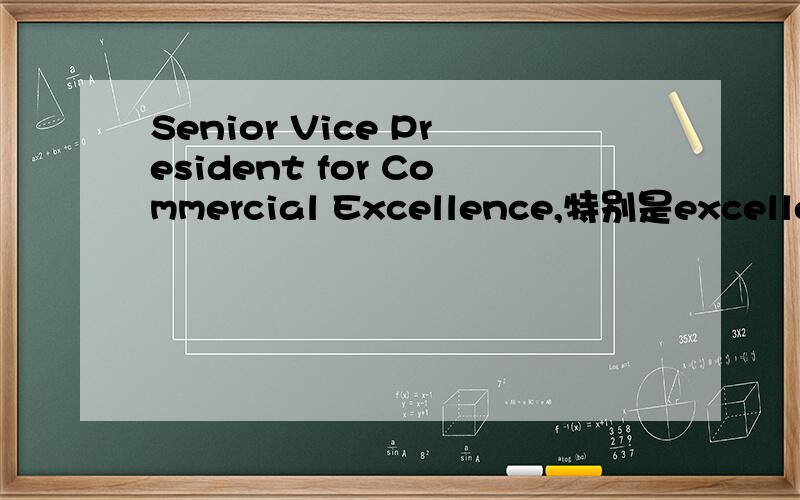 Senior Vice President for Commercial Excellence,特别是excellenc