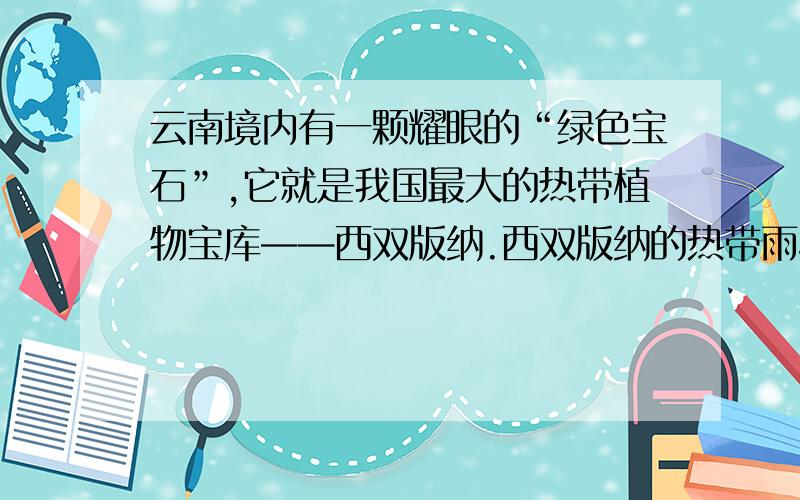 云南境内有一颗耀眼的“绿色宝石”,它就是我国最大的热带植物宝库——西双版纳.西双版纳的热带雨林古木参天,藤萝蔽日,进入林