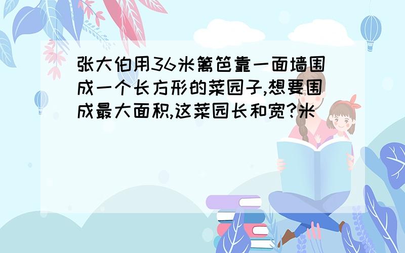 张大伯用36米篱笆靠一面墙围成一个长方形的菜园子,想要围成最大面积,这菜园长和宽?米