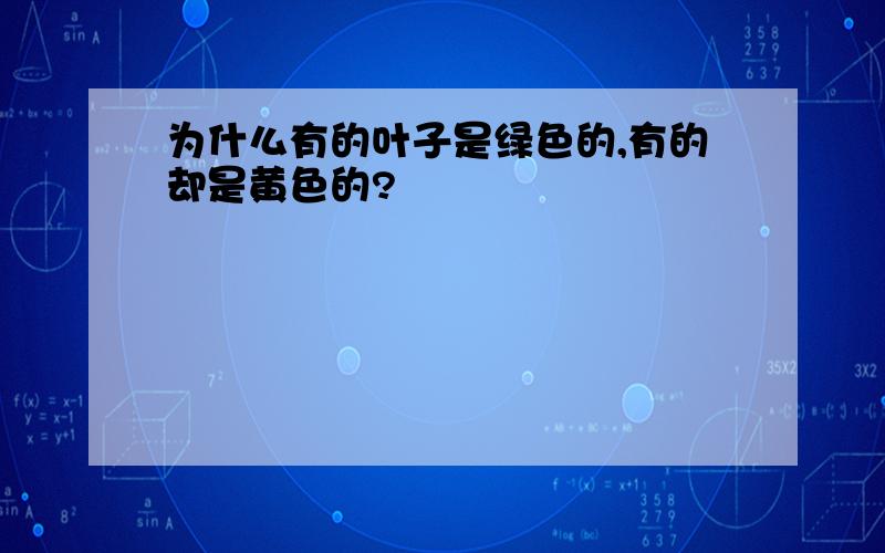 为什么有的叶子是绿色的,有的却是黄色的?