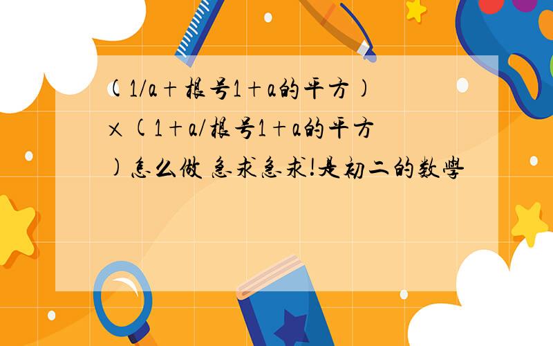 (1/a+根号1+a的平方)×(1+a/根号1+a的平方)怎么做 急求急求!是初二的数学