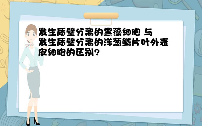 发生质壁分离的黑藻细胞 与 发生质壁分离的洋葱鳞片叶外表皮细胞的区别?