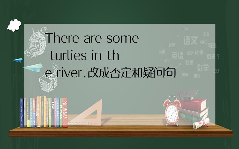 There are some turlies in the river.改成否定和疑问句