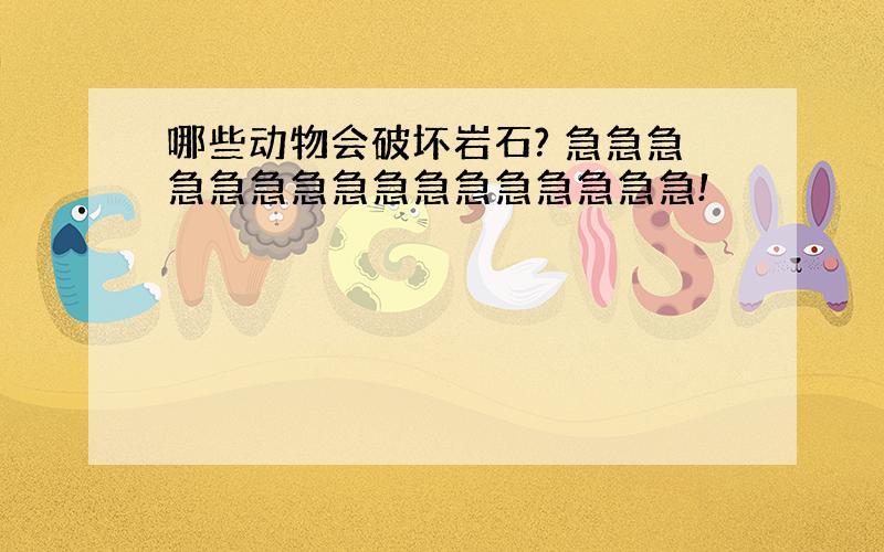 哪些动物会破坏岩石? 急急急急急急急急急急急急急急急急!