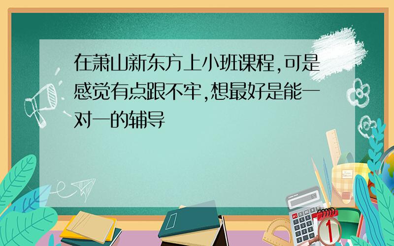 在萧山新东方上小班课程,可是感觉有点跟不牢,想最好是能一对一的辅导