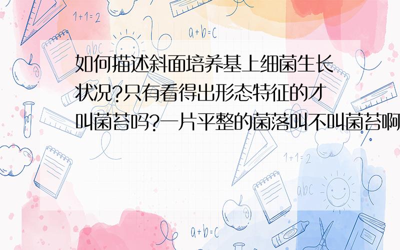 如何描述斜面培养基上细菌生长状况?只有看得出形态特征的才叫菌苔吗?一片平整的菌落叫不叫菌苔啊?