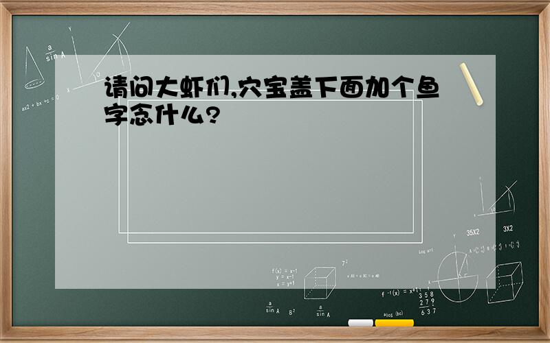 请问大虾们,穴宝盖下面加个鱼字念什么?