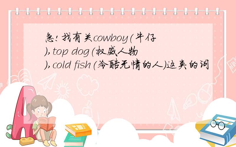 急!找有关cowboy(牛仔),top dog(权威人物),cold fish(冷酷无情的人)这类的词