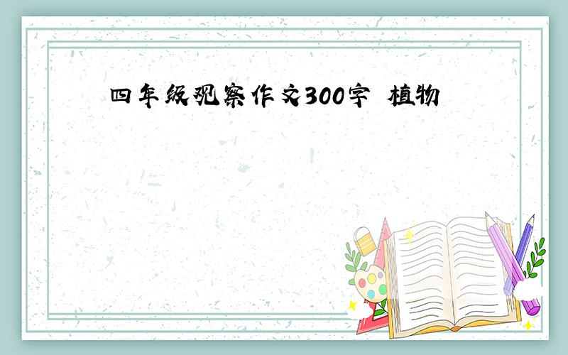 四年级观察作文300字 植物