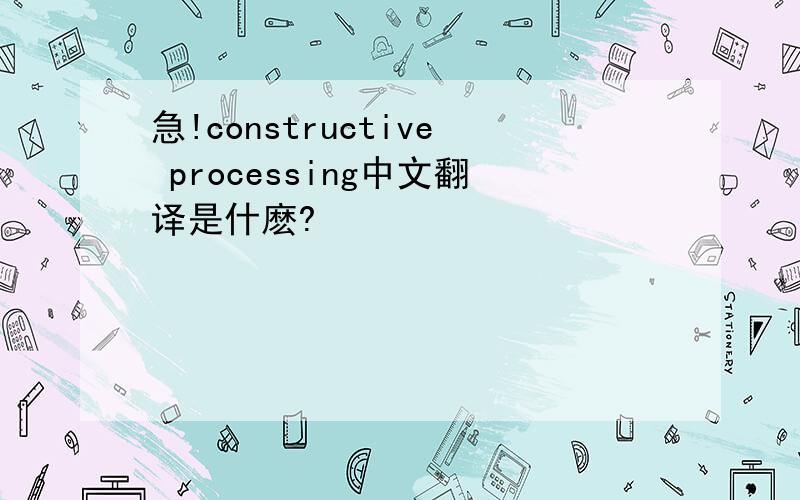 急!constructive processing中文翻译是什麽?