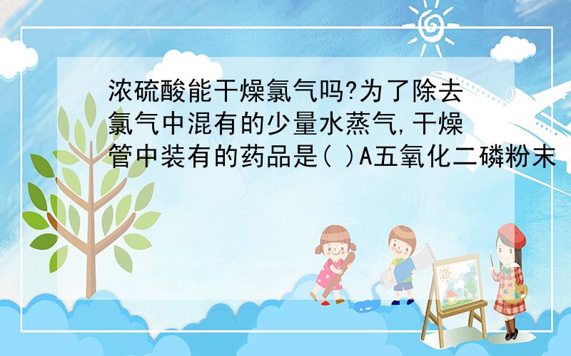 浓硫酸能干燥氯气吗?为了除去氯气中混有的少量水蒸气,干燥管中装有的药品是( )A五氧化二磷粉末 B浓硫酸 C饱和食盐水