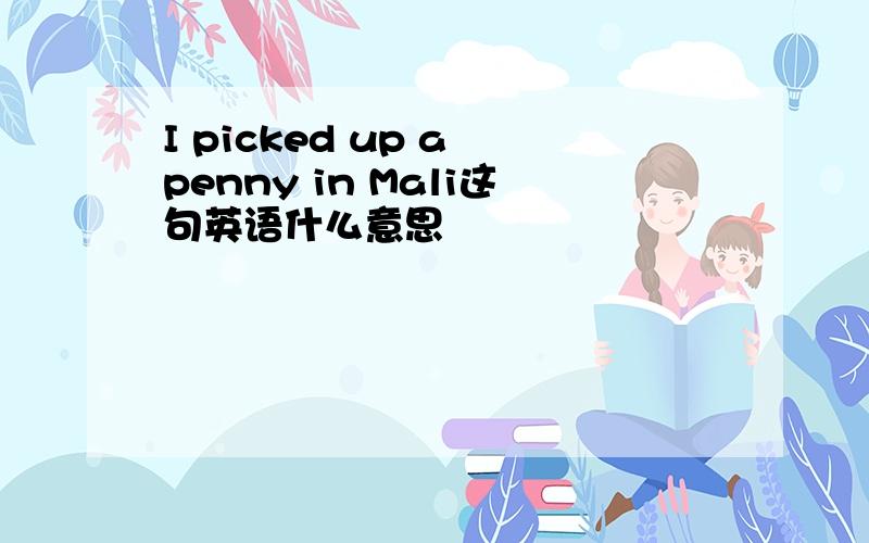 I picked up a penny in Mali这句英语什么意思