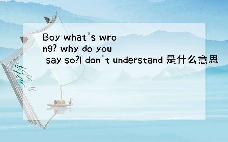 Boy what's wrong? why do you say so?I don't understand 是什么意思