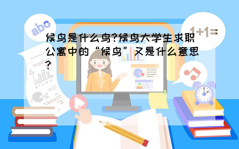 候鸟是什么鸟?候鸟大学生求职公寓中的“候鸟”又是什么意思?