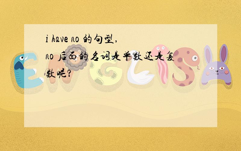 i have no 的句型,no 后面的名词是单数还是复数呢?