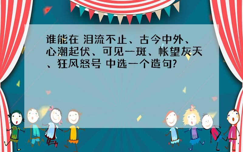 谁能在 泪流不止、古今中外、心潮起伏、可见一斑、帐望灰天、狂风怒号 中选一个造句?