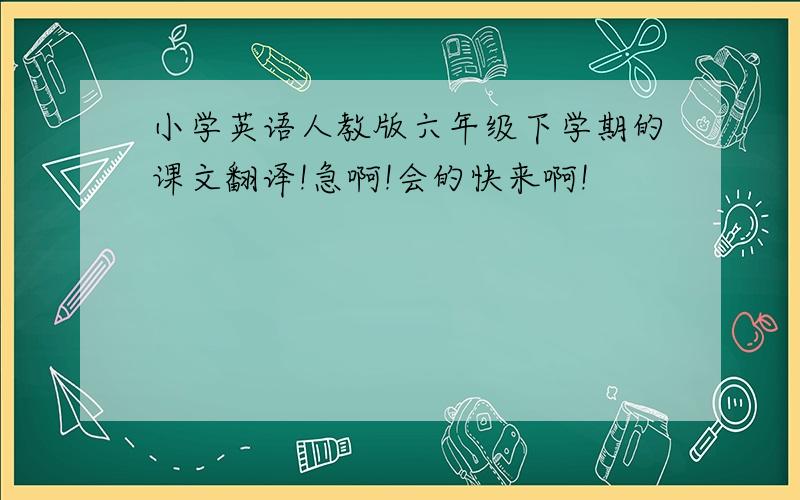 小学英语人教版六年级下学期的课文翻译!急啊!会的快来啊!