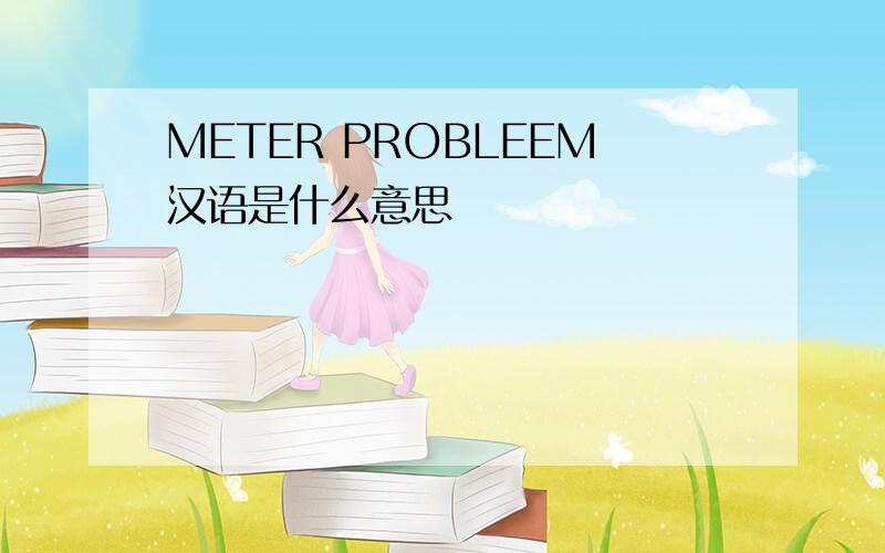 METER PROBLEEM汉语是什么意思