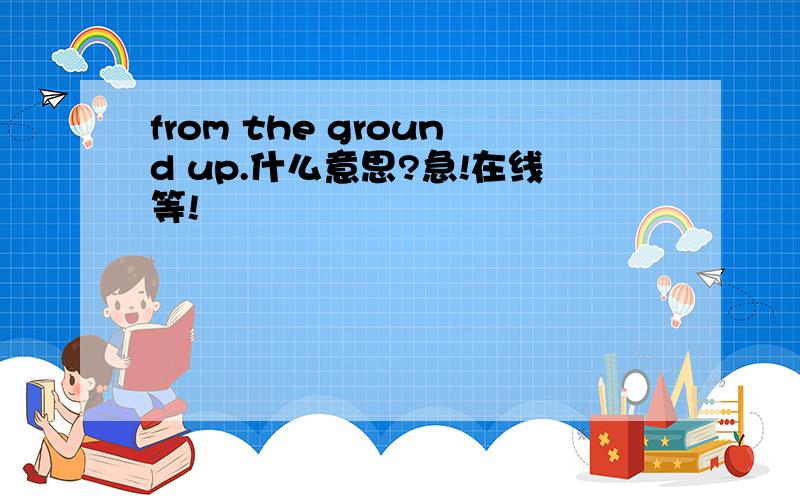 from the ground up.什么意思?急!在线等!