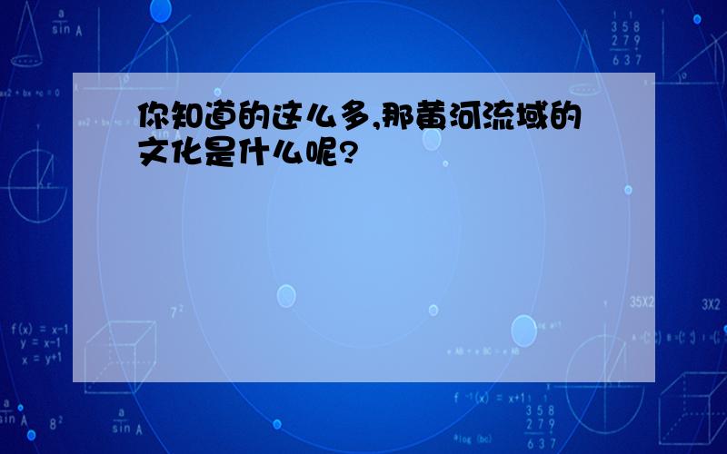 你知道的这么多,那黄河流域的文化是什么呢?