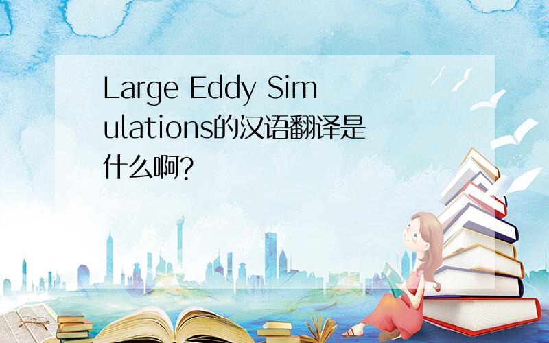 Large Eddy Simulations的汉语翻译是什么啊?