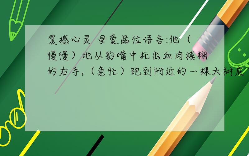 震撼心灵 母爱品位语言:他（慢慢）地从豹嘴中托出血肉模糊的右手,（急忙）跑到附近的一棵大树底下,把伤口包扎好.一条长长的