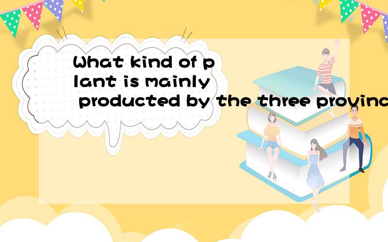 What kind of plant is mainly producted by the three province