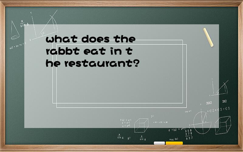 what does the rabbt eat in the restaurant?