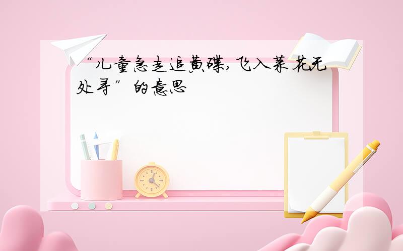 “儿童急走追黄碟,飞入菜花无处寻”的意思