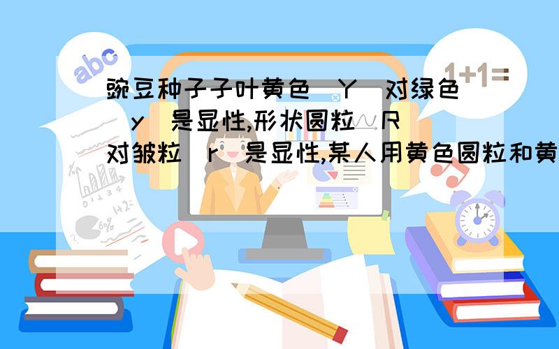 豌豆种子子叶黄色(Y)对绿色(y)是显性,形状圆粒(R)对皱粒(r)是显性,某人用黄色圆粒和黄色皱粒进行杂交,发现后代出