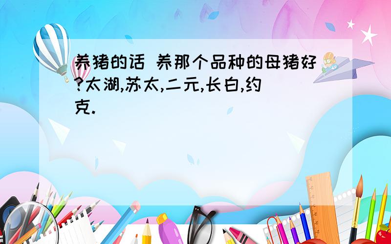 养猪的话 养那个品种的母猪好?太湖,苏太,二元,长白,约克.