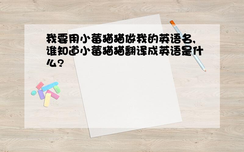 我要用小莓猫猫做我的英语名,谁知道小莓猫猫翻译成英语是什么?