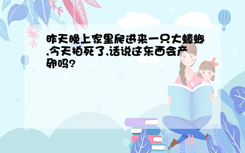 昨天晚上家里爬进来一只大蟑螂,今天拍死了,话说这东西会产卵吗?