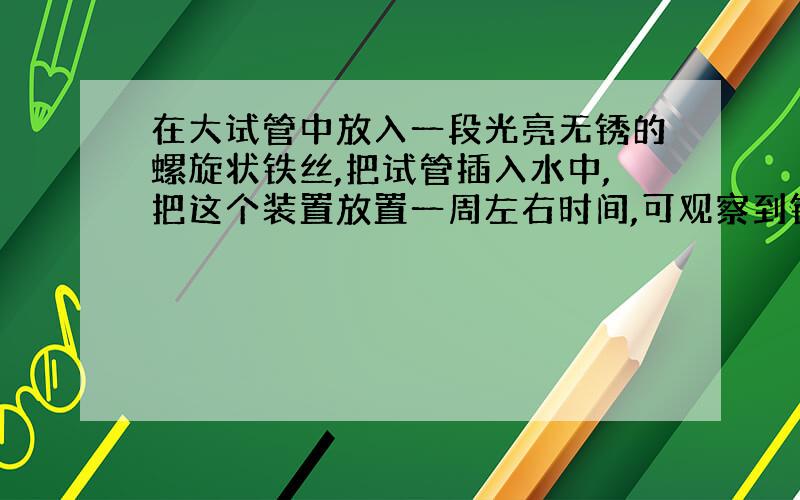 在大试管中放入一段光亮无锈的螺旋状铁丝,把试管插入水中,把这个装置放置一周左右时间,可观察到铁丝发生的变化是(1)___