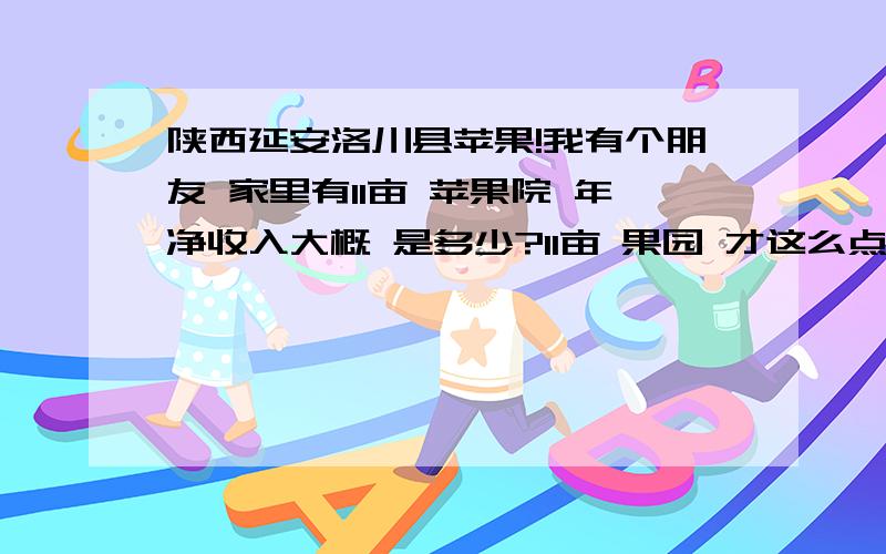 陕西延安洛川县苹果!我有个朋友 家里有11亩 苹果院 年净收入大概 是多少?11亩 果园 才这么点 钱么?我有个同学说一