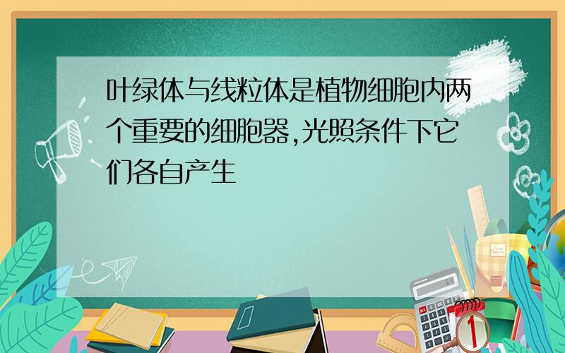 叶绿体与线粒体是植物细胞内两个重要的细胞器,光照条件下它们各自产生