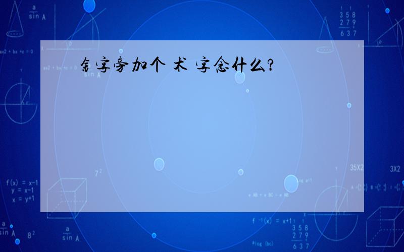 钅字旁加个 术 字念什么?