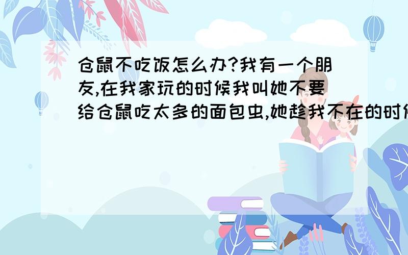 仓鼠不吃饭怎么办?我有一个朋友,在我家玩的时候我叫她不要给仓鼠吃太多的面包虫,她趁我不在的时候一直喂母鼠吃.今天给母鼠吃